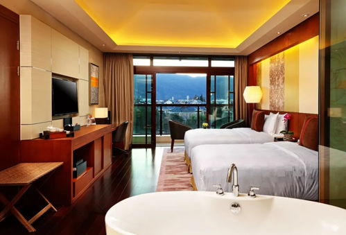 8座碳酸温泉 香奈儿风大堂 镇池海鸥拥入怀 昆明这家酒店惊艳一座城